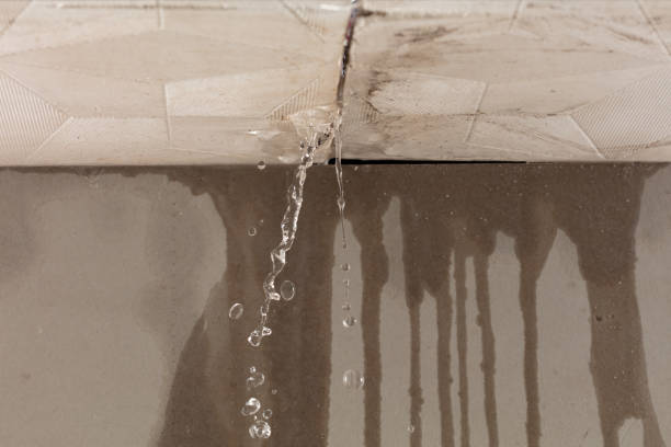 Professional Burst Pipe Cleanup technician working in Sebago, ME